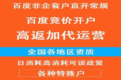 深入剖析SEM公司成功案例：数据驱动的广告策略